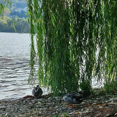 I Gelsi - Apartment Lago (Veneto)